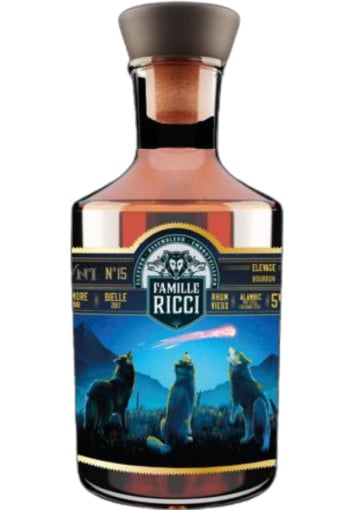 Famille Ricci - UFO 15 Enmore 1988 / Bielle 2017