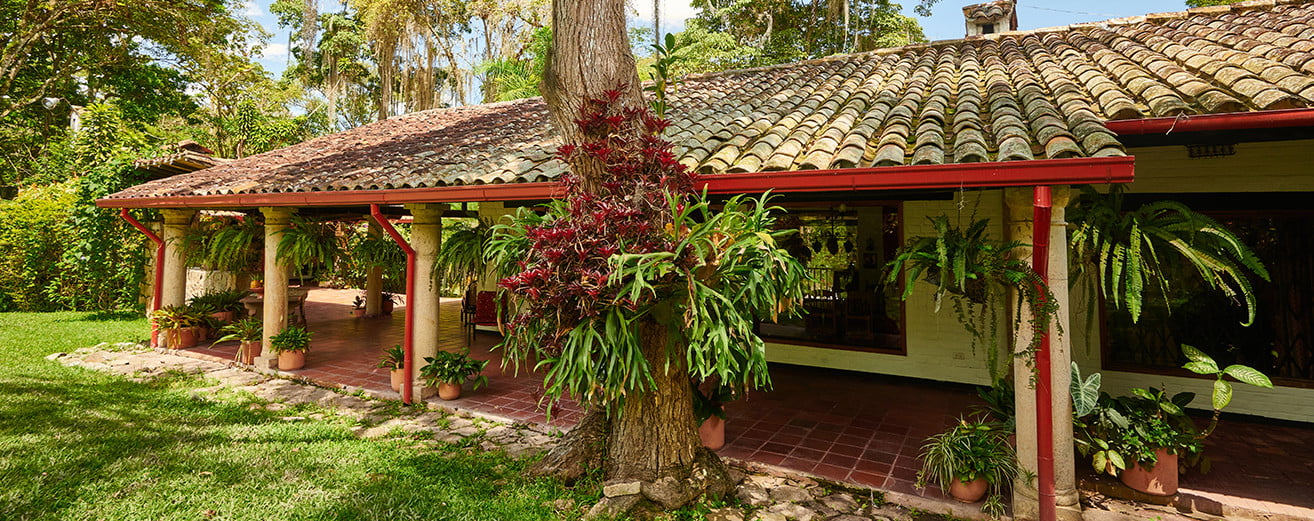 Coloma, the Colombian soul