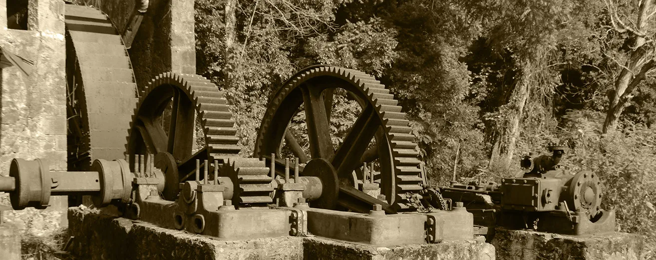 Héritiers Madkaud Rum, rum in conscience